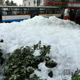 Dystopia: Toxic foam from a polluted city lake.